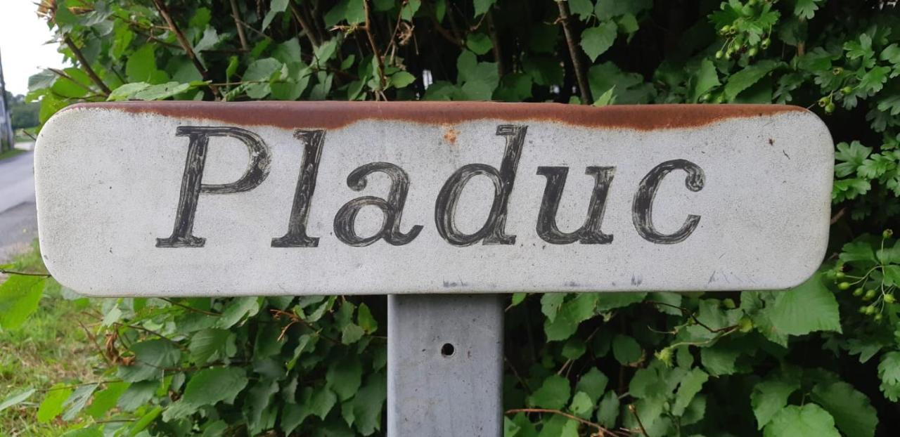 Domaine De Pladuc Bed & Breakfast Lachaise Luaran gambar