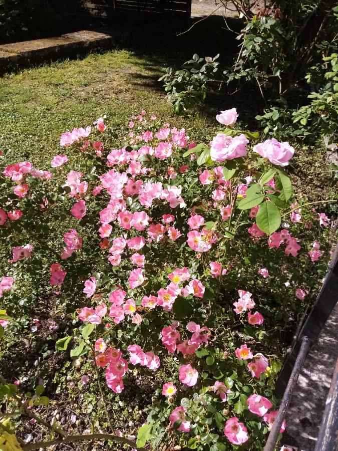 Domaine De Pladuc Bed & Breakfast Lachaise Luaran gambar