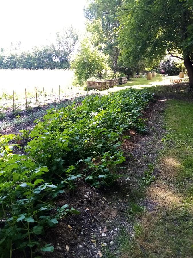 Domaine De Pladuc Bed & Breakfast Lachaise Luaran gambar