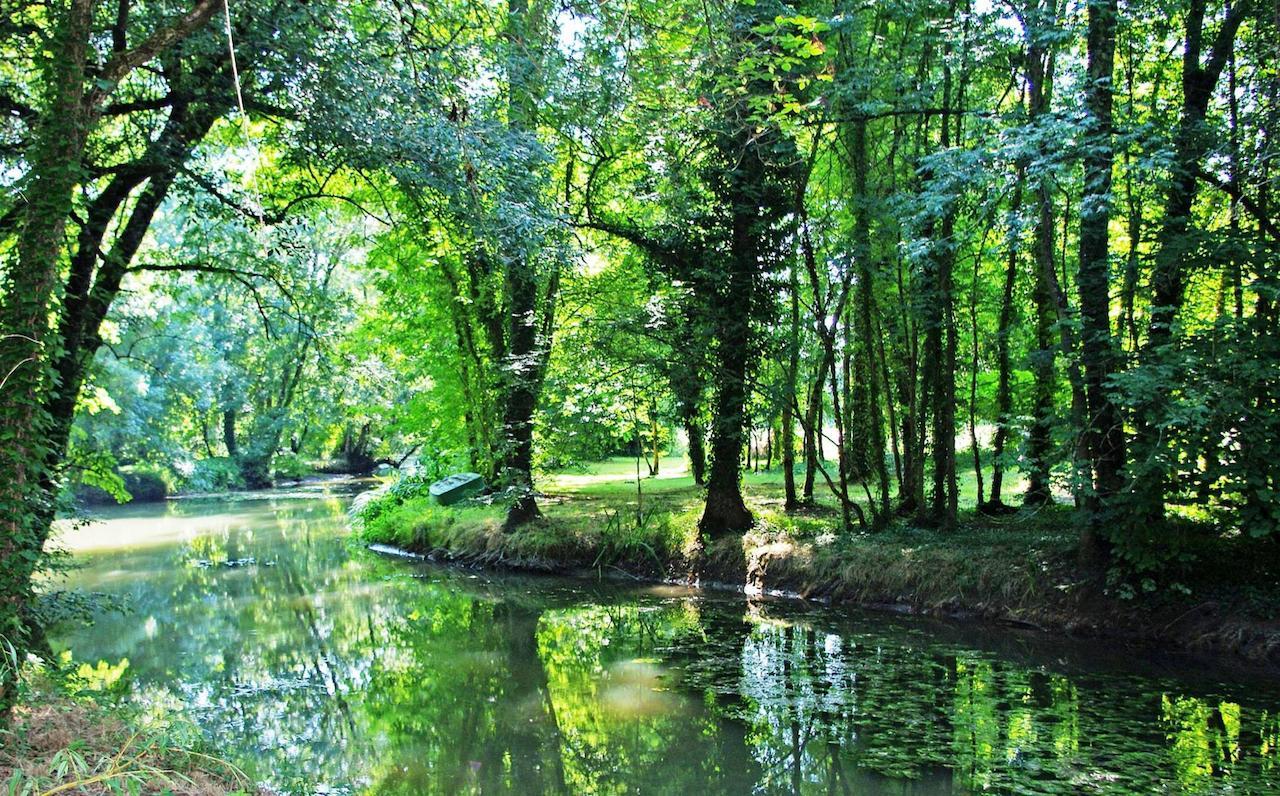 Domaine De Pladuc Bed & Breakfast Lachaise Luaran gambar