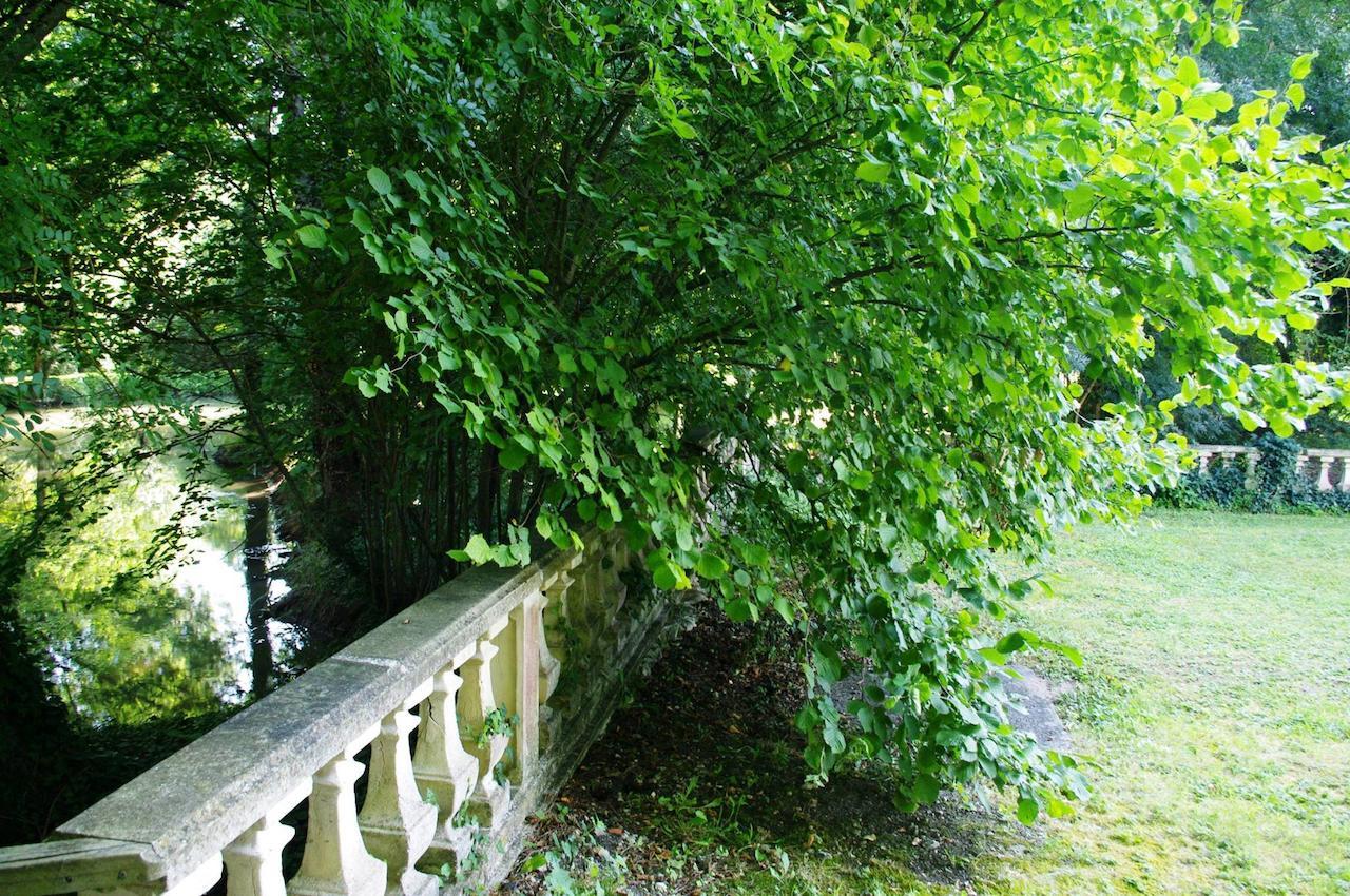 Domaine De Pladuc Bed & Breakfast Lachaise Luaran gambar